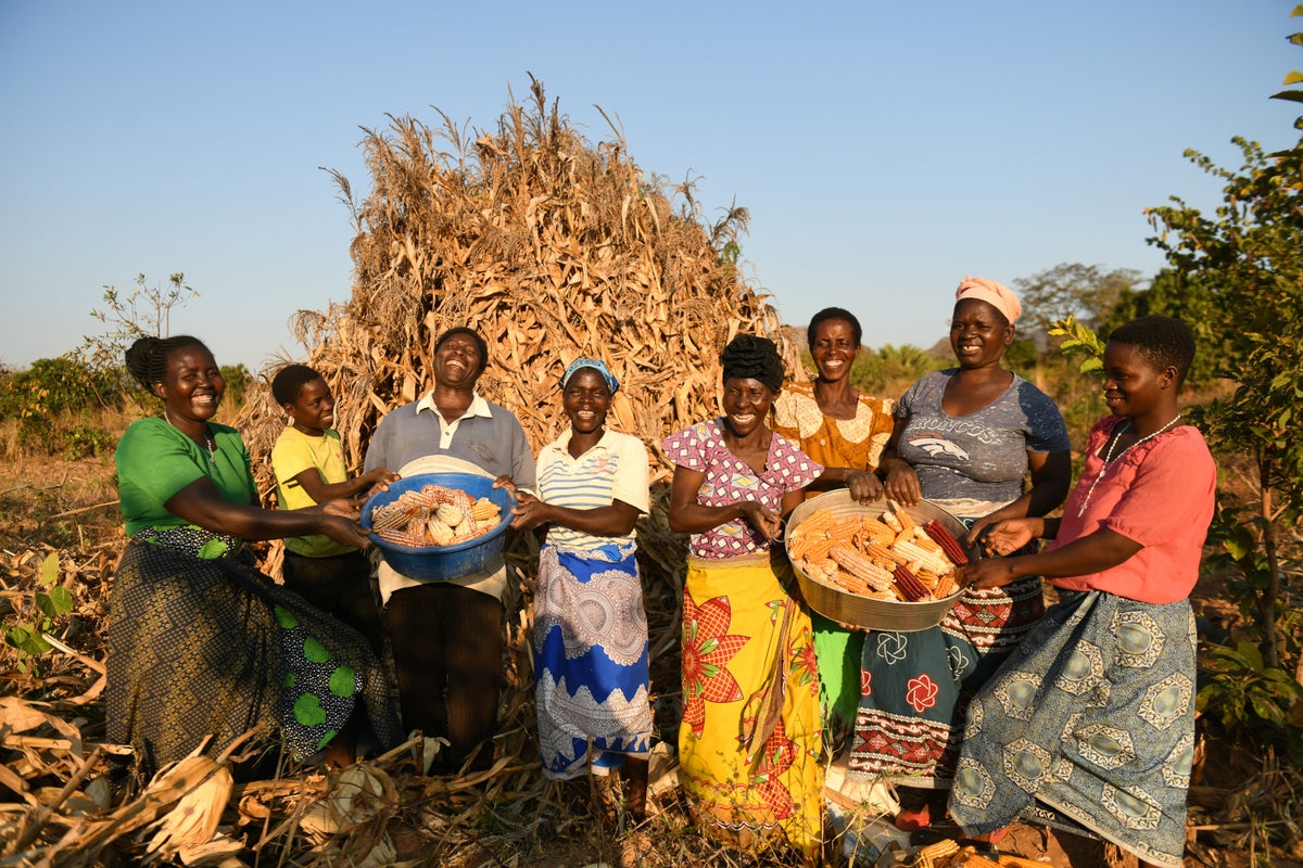 Abundance—of food, comradeship, equality, resilience and joy—is among the harvests of agroecology.