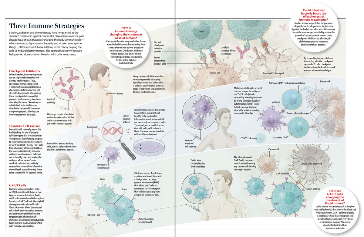 Three Immune Strategies