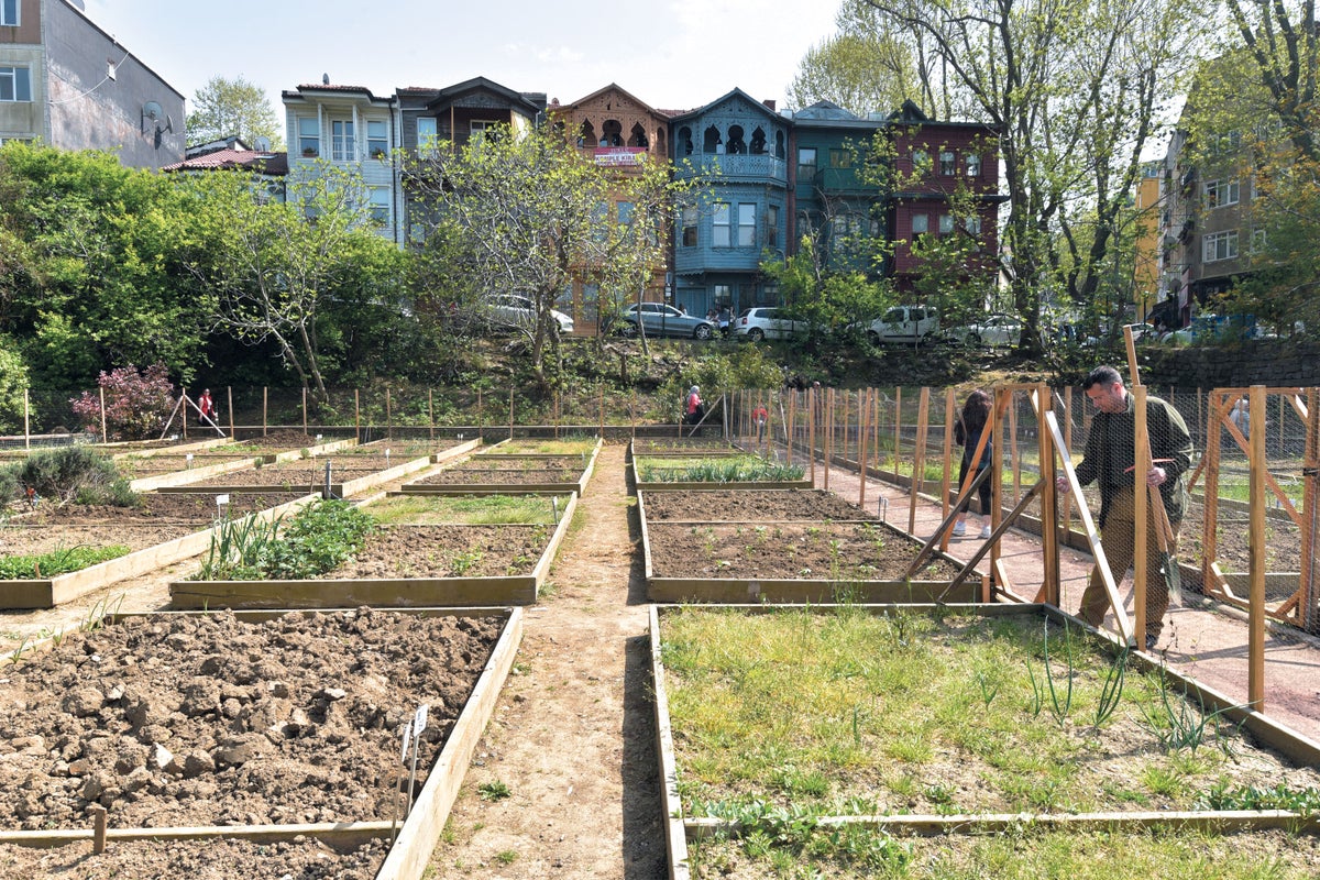 Urban vegetable garden in Istanbul, Turkey.