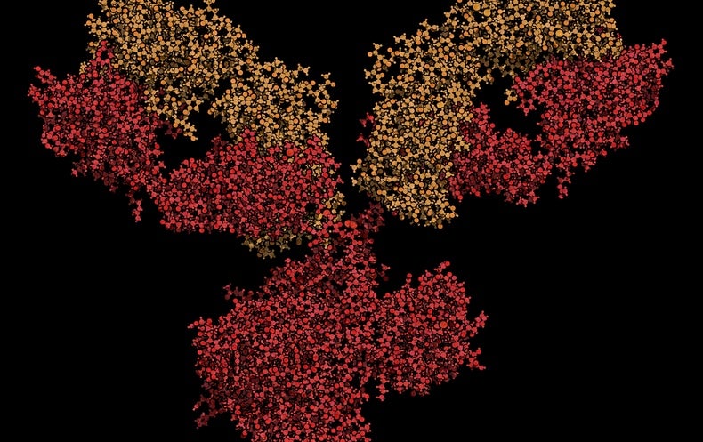 Why Monoclonal Antibody COVID Therapies Have Not Lived Up to Expectations - NewsOpener Why Monoclonal Antibody COVID Therapies Have Not Lived Up to Expectations