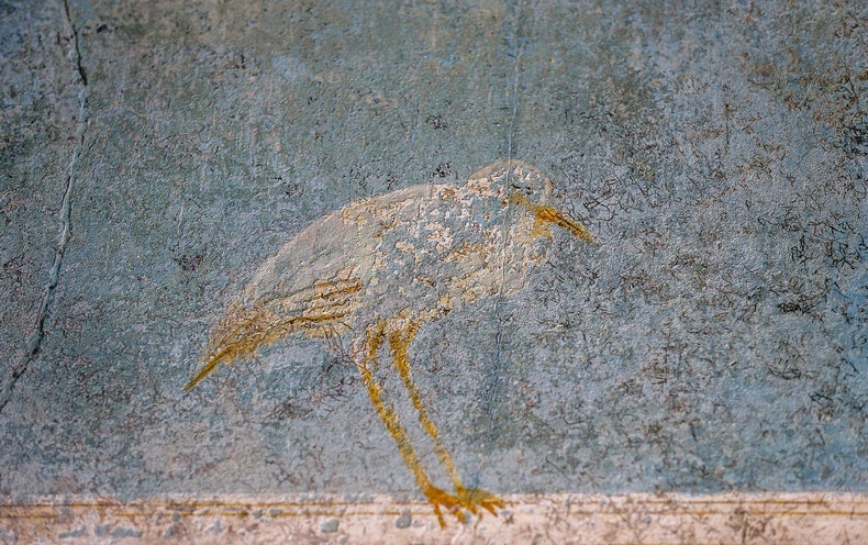 Volcanic Ash Threatens Pompeii’s Buried Murals - Volcanic Ash Threatens Pompeii’s Buried Murals