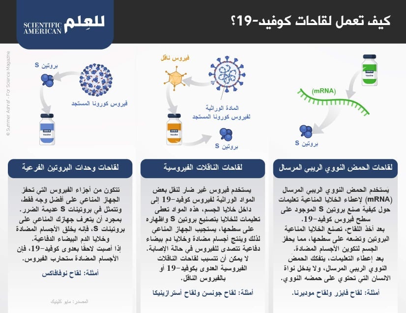نسبة اخذ اللقاح في السعودية