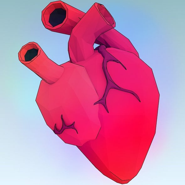 أسرار اختلاف صمامات القلب تتجاوز الجينات