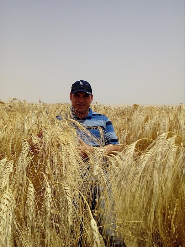 التغيرات المناخية في مصر جاءت بوتيرة أسرع من المتوقع