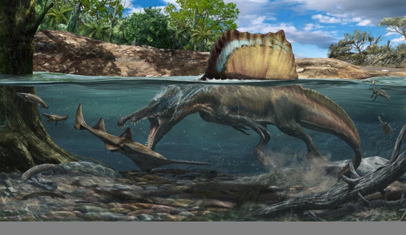 ديناصور «سبينوصورس» كان يصطاد تحت الماء