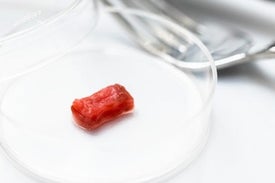 شرائح لحم مستزرعة في المختبر تحاول غزو قوائم الطعام