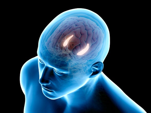 خلايا في أعماق الدماغ البشري تُضفي طابعًا زمنيًّا على الذكريات