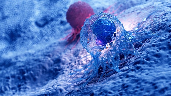 هرمونات التوتر توقظ خلايا السرطان النائمة