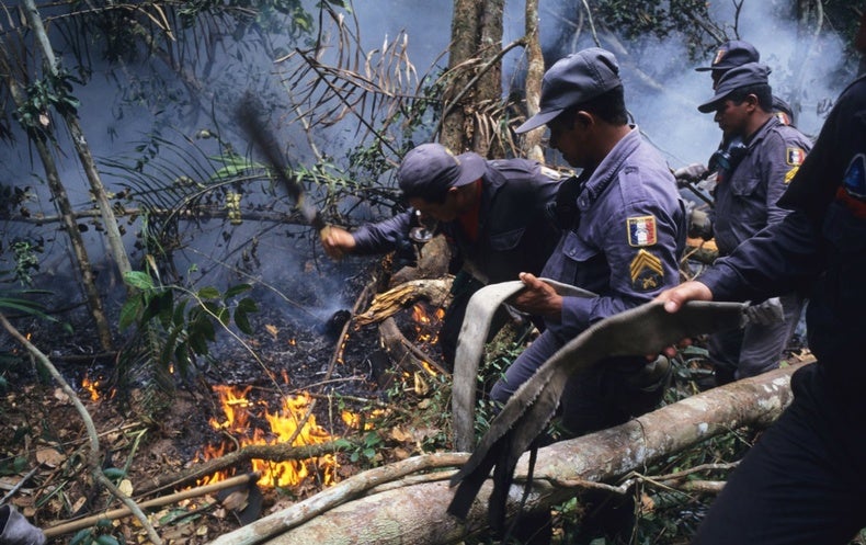 أسباب متضاربة وراء ارتفاع معدل حرائق غابات الأمازون بأكثر من 80