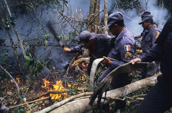 أسباب متضاربة وراء ارتفاع معدل حرائق غابات الأمازون بأكثر من 80