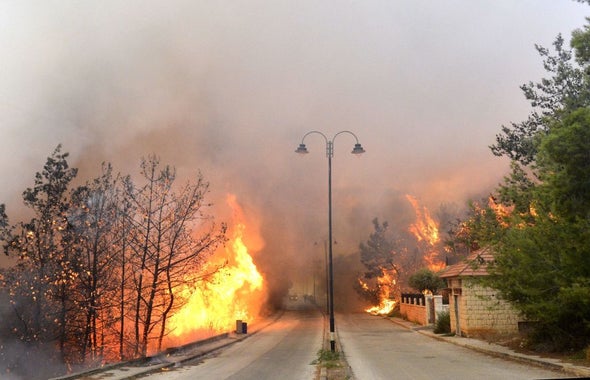 لبنان غابات مهملة وخطر الحرائق لم ينته بعد للع لم