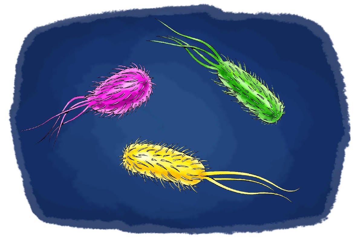 كيف يمكن إيقاف البكتيريا الخارقة للع لم