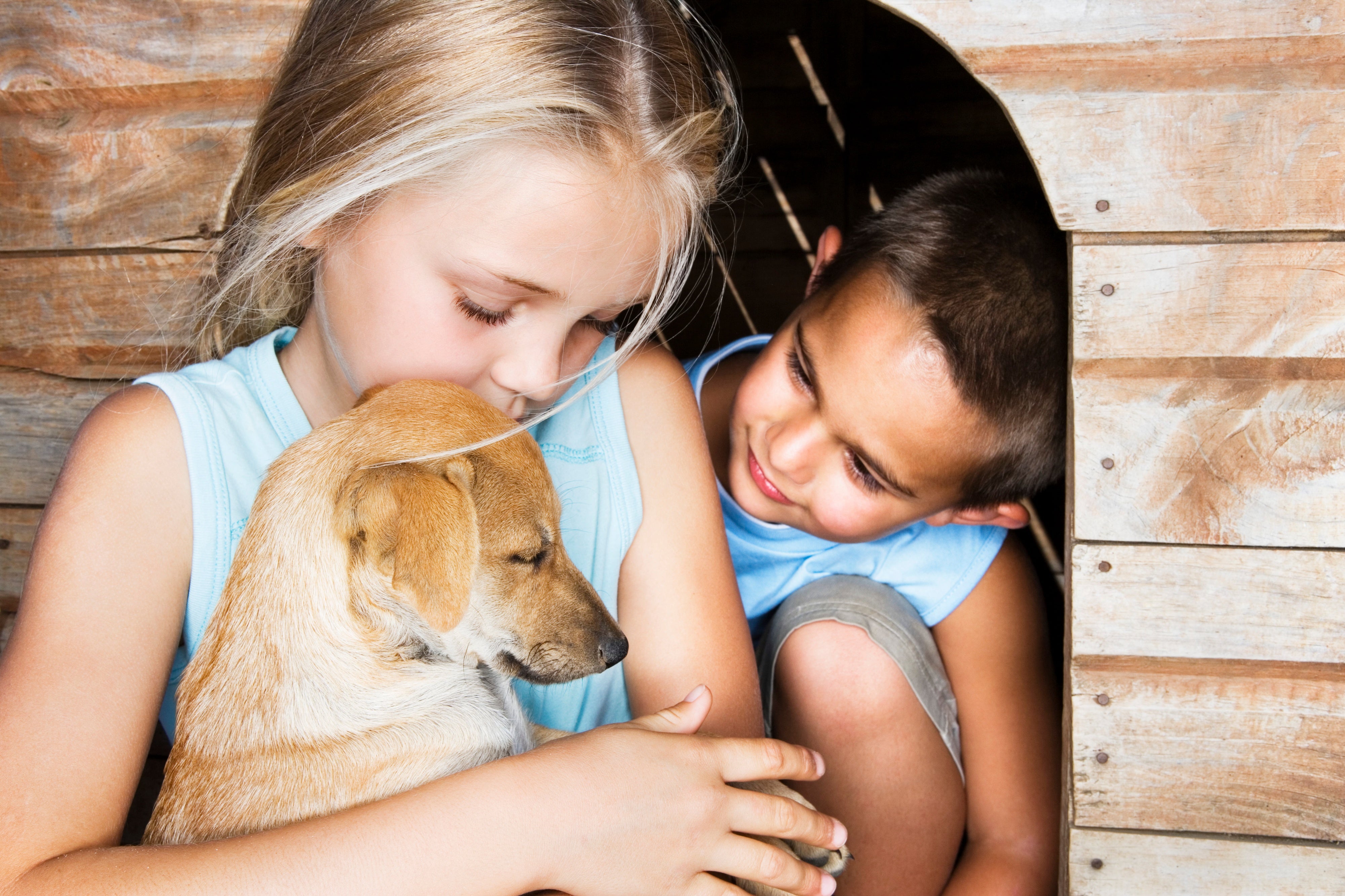 Give a talk about pets. Фонд забытые животные. Kids with Pets. Talks with animals. Family and Pets.