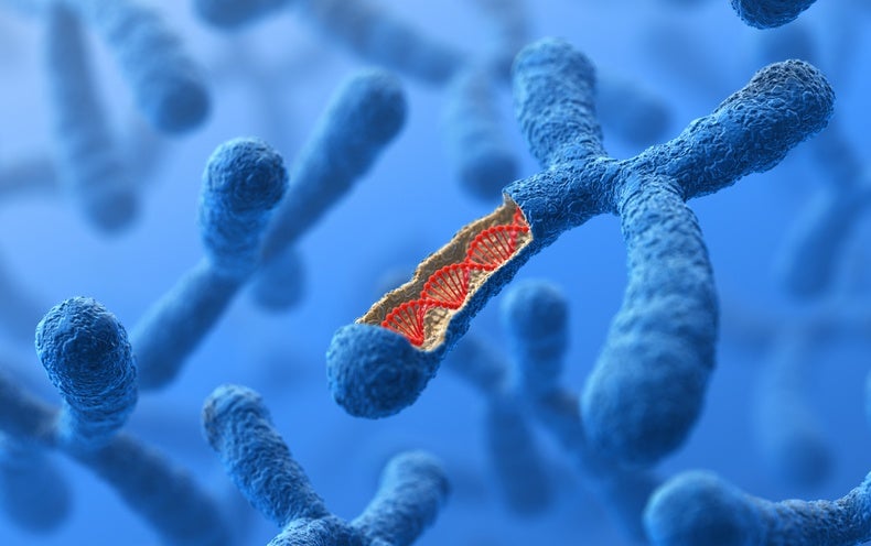 اكتشاف الجين المسبب لمرض وراثي يصيب الأطفال بتشوهات خلقية للع لم