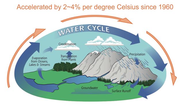 في ضروري الماء لاحداث التغيير التالية العوامل اي دورة أي العوامل