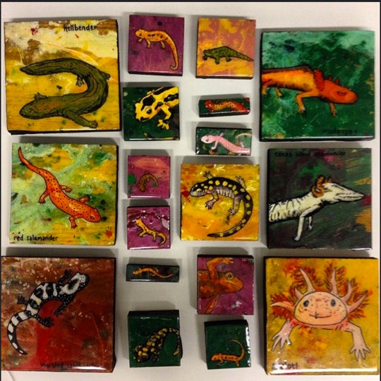 Salamander Paintings
