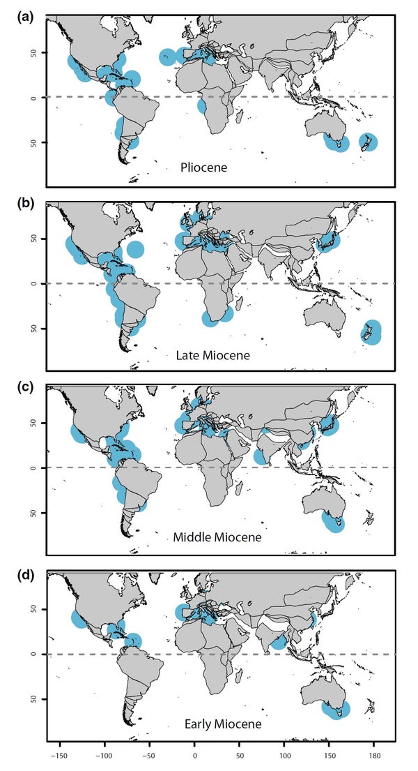 Shark map