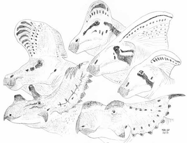 Tetrapod Zoology