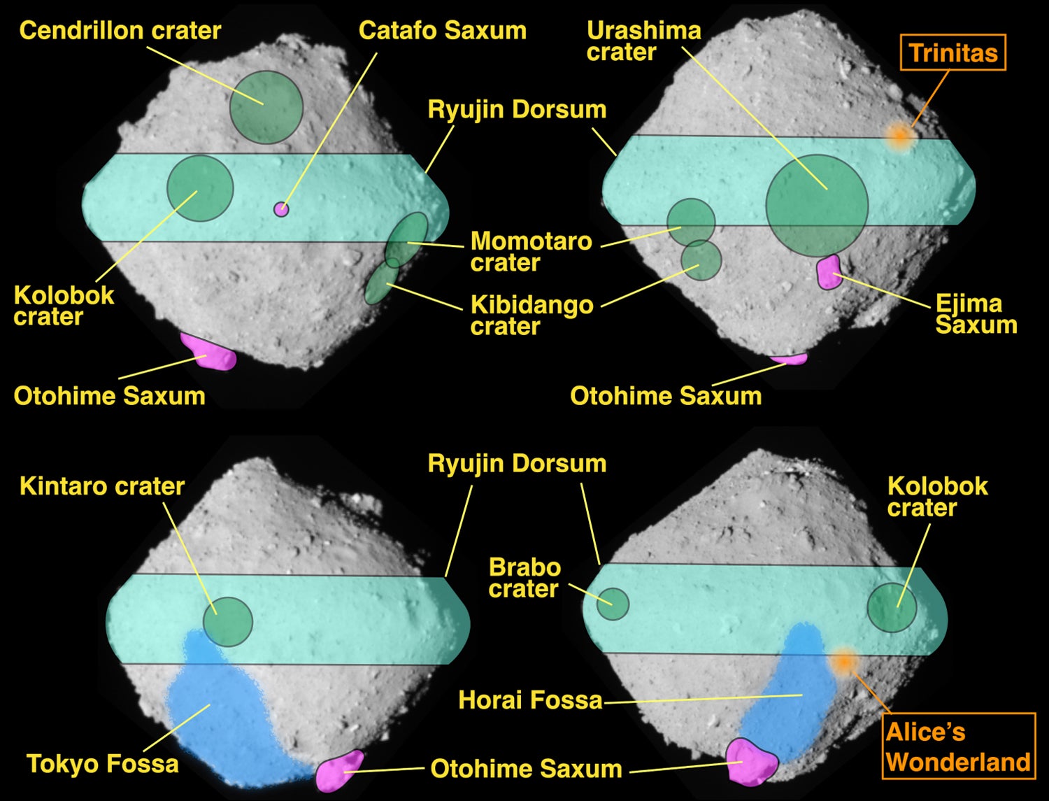 International Astronomical Union names asteroid after SOPHIE