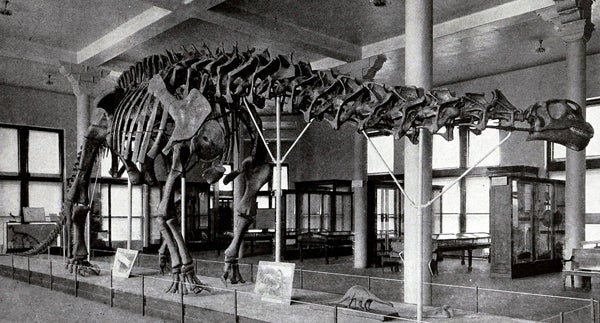 What is the Mokele-mbembe?