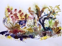 Flourish Exhibit - Contemporary Botanical Art
