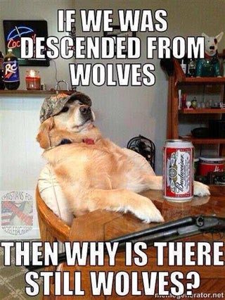 then-why-are-there-still-wolves-meme-320