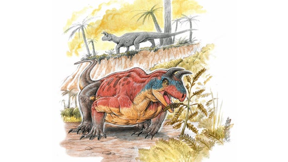 Paleo Profile: The Horned Lizard