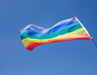 What's It Like to Be Queer in STEM?
