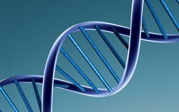 Why We Should Finish the Human Genome