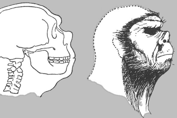A Review of <i>Neanderthal: the Strange Saga of the Minnesota Iceman</i>, Part 2
