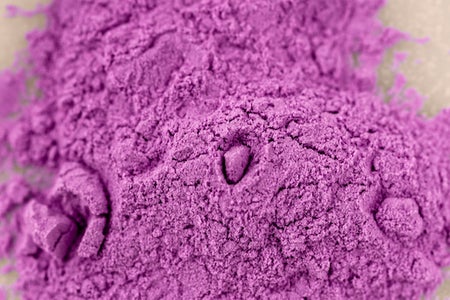 Scientific American Logo
