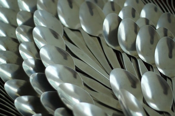 Sentient Robots, Conscious Spoons and Other Cheerful Follies
