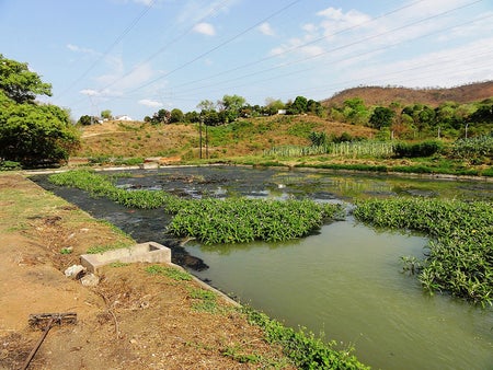 oxidation pond