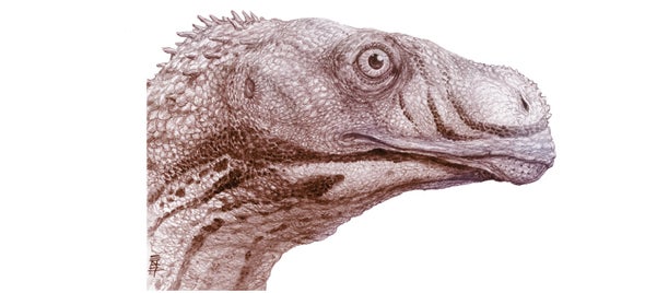 Dinosaur Highlights a Jurassic Mystery