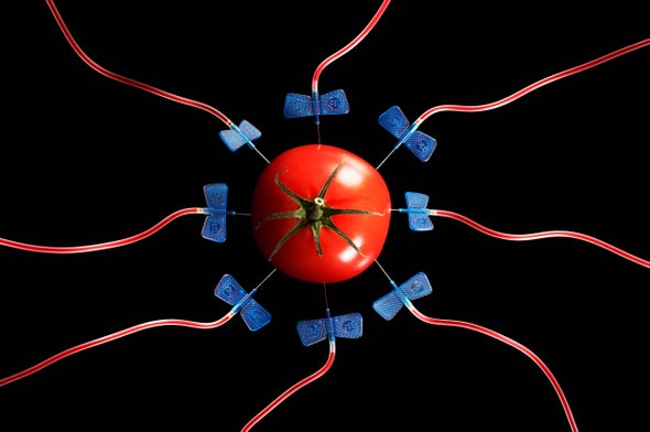 Are You Scared of GMO Foods?