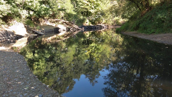 Learning the Language of Rivers, Part 2: The Basics