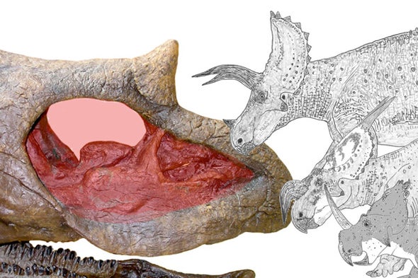 The Ridiculous Nasal Anatomy of Giant Horned Dinosaurs