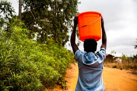 Scientific American Logo