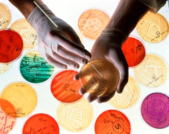 Are Antibiotics Damaging Your Family's Health?