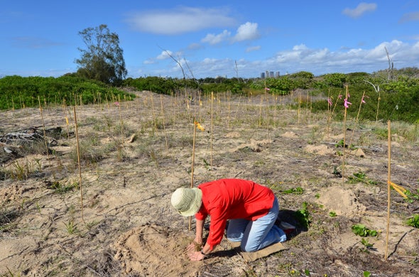 Habitat Restoration Isn't Just for Professionals