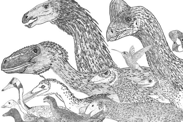 The Climbing, Flying Babies of Deinonychus - Scientific American Blog  Network