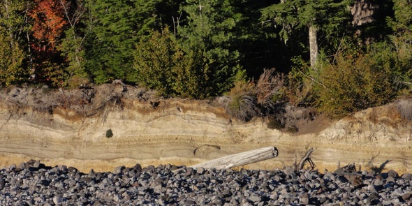 Mount Saint Helens Lays Her Eruptive History Bare: Stratigraphy Viewpoint