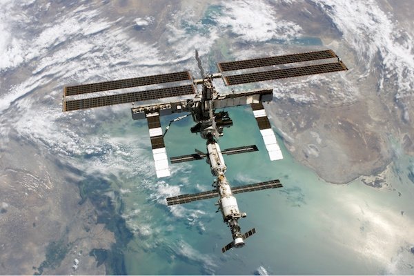Tiny Organs in Orbit