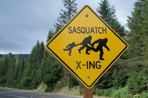 How Chasing Bigfoot Can Lead To Actual Science Scientific - 
