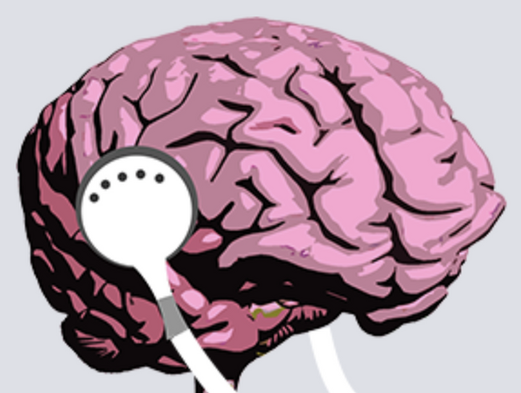 Podcast Recap (February 2019): The Alter Ego Effect and the Flexibility of Human Sexuality