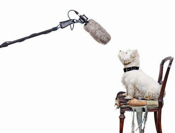 Yes, We Can Communicate with Animals - Scientific American Blog Network