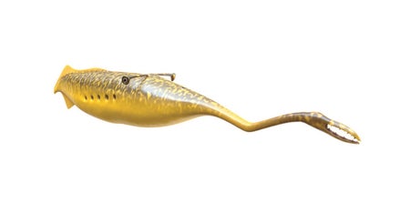 Tully Monster