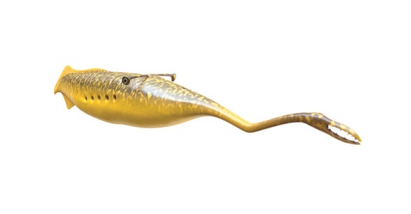 Tully Monster Still a Mystery