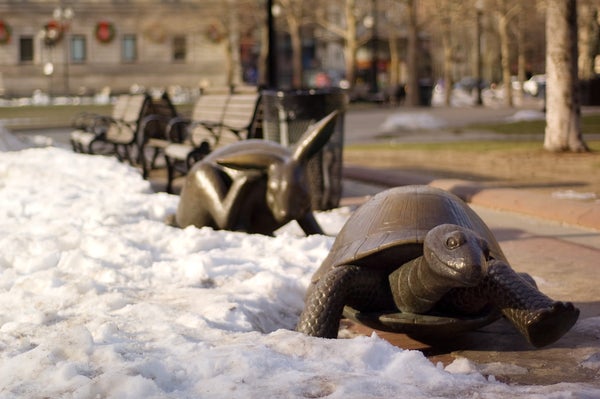 Bronze sculptures of a tortoise (foreground) and hare (background) illustrating the famous story of the tortoise and the hare