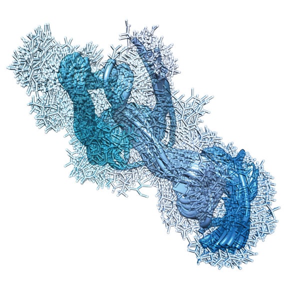 Contemplating a Statinlike Drug to Prevent Alzheimer's